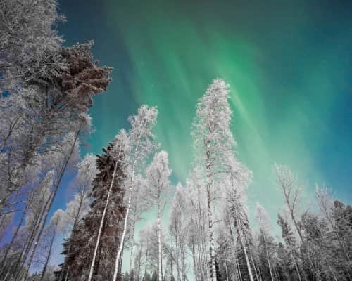 Finlandia - Laponia - Auroras Boreales