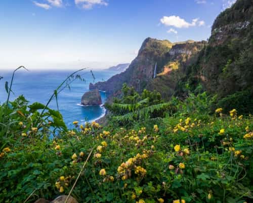 Portuga - Madeira - costa flores
