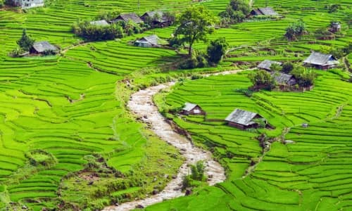 Terrazas de arroz en Ta Van, Sapa, Vietnam